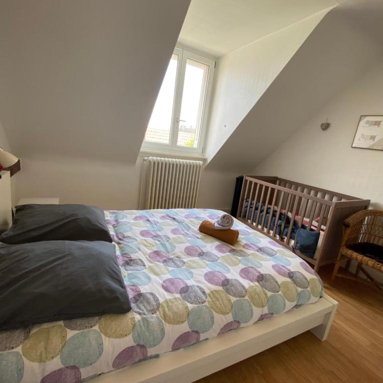 BookingAlsace - Maison Mittelharth Parking Jardin - Maison de Vacances - 38