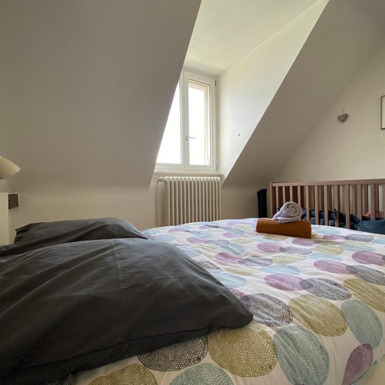 BookingAlsace - Maison Mittelharth Parking Jardin - Maison de Vacances - 40