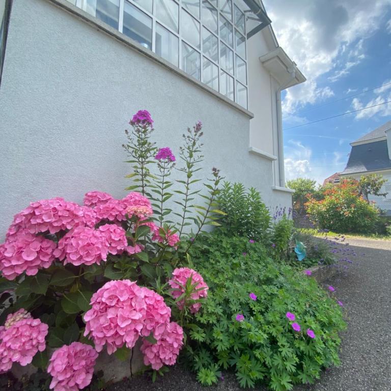 BookingAlsace - Maison Mittelharth Parking Jardin - Maison de Vacances - 43