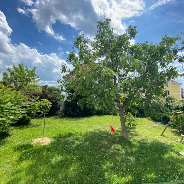 BookingAlsace - Maison Mittelharth Parking Jardin - Maison de Vacances - 49