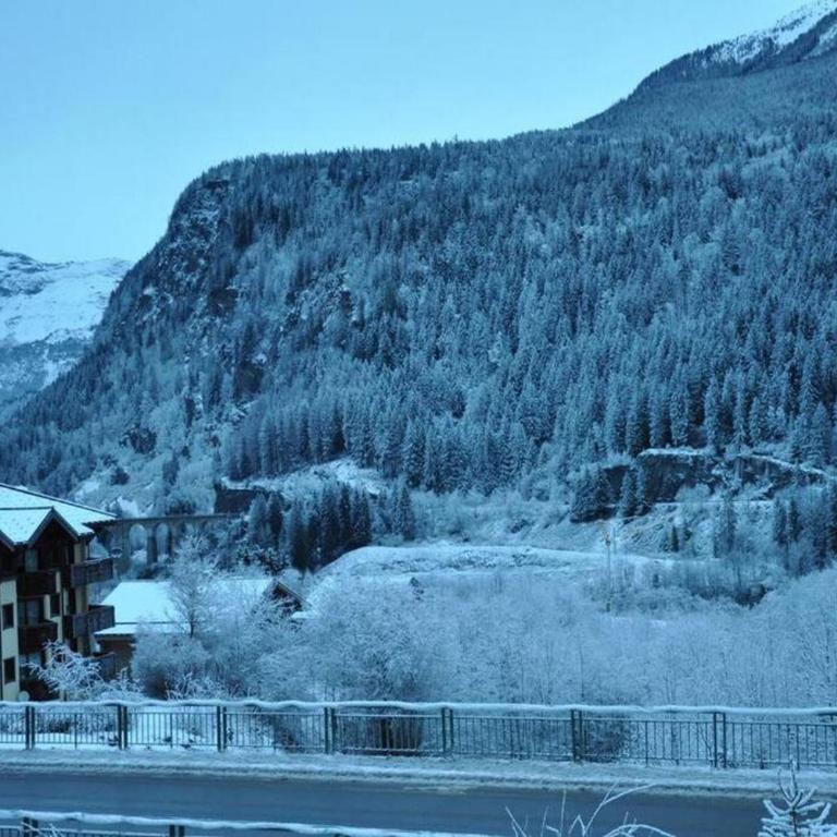 Luxury Studio - Mountain View & 100m to Slopes - Near Chamonix - Appartement 1 Chambre - 25