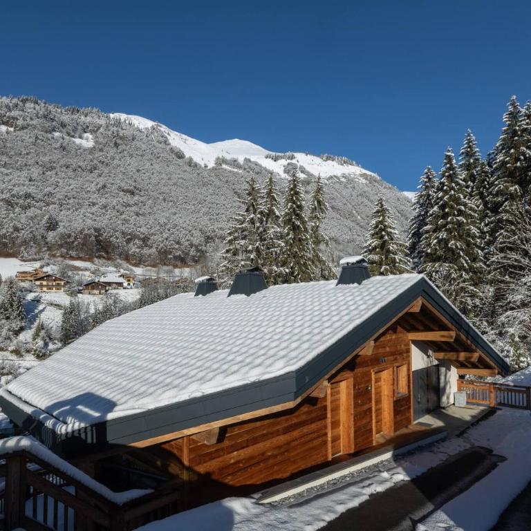 Les Petits Ours Montriond superbe 8 14 personnes - Chalet Supérieur - 38
