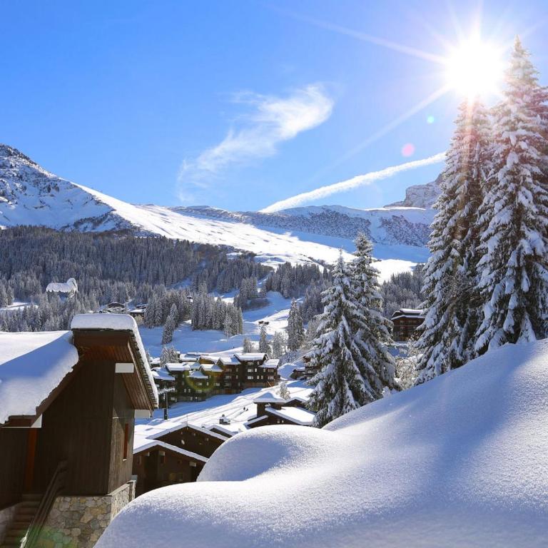 Chalet de l'Epigny - Chalet 1 Chambre - 16