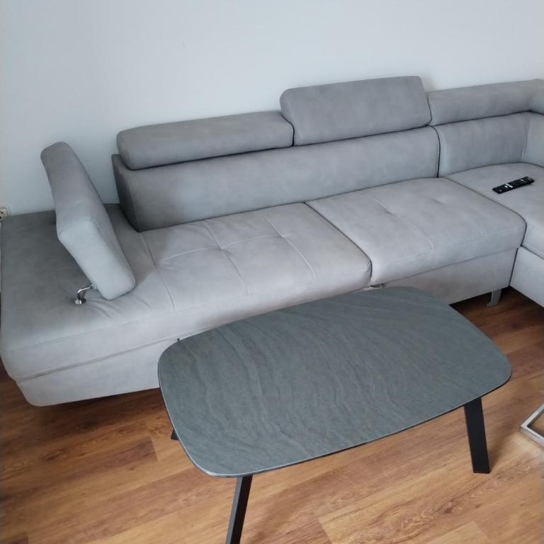 Vila Ivanovic - One-Bedroom Apartment - 11