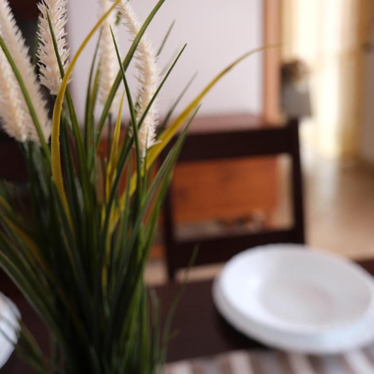 Casa di Laura - Appartamento con 2 Camere da Letto - 37