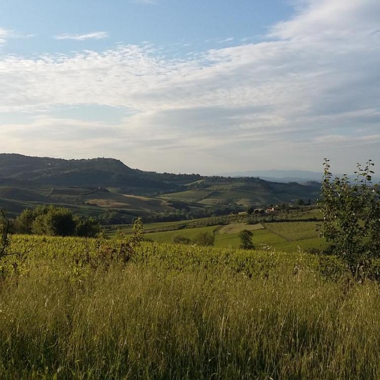 Agriturismo Eco-Pescaia a Montepulciano - Monolocale - 8