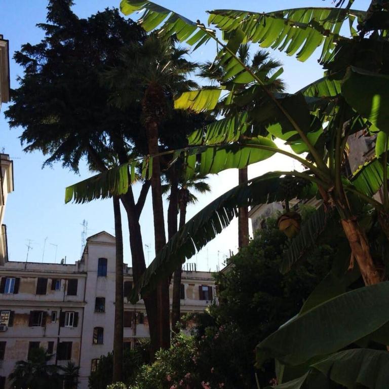 Il Cortile - Appartamento nel cuore di Testaccio - Appartamento con 1 Camera da Letto - 8