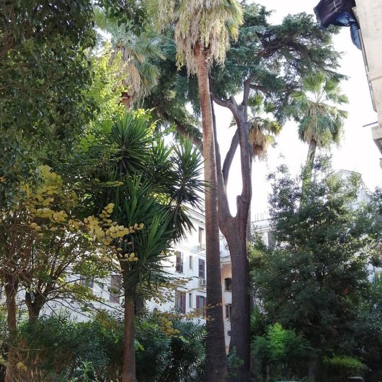 Il Cortile - Appartamento nel cuore di Testaccio - Appartamento con 1 Camera da Letto - 42