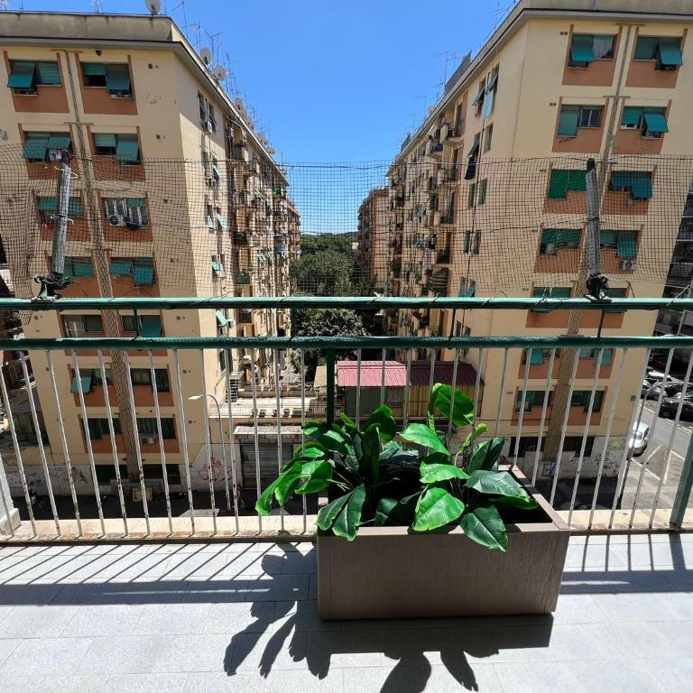 Luciano Queen's Guest House - Camera Matrimoniale Deluxe con Balcone - 14