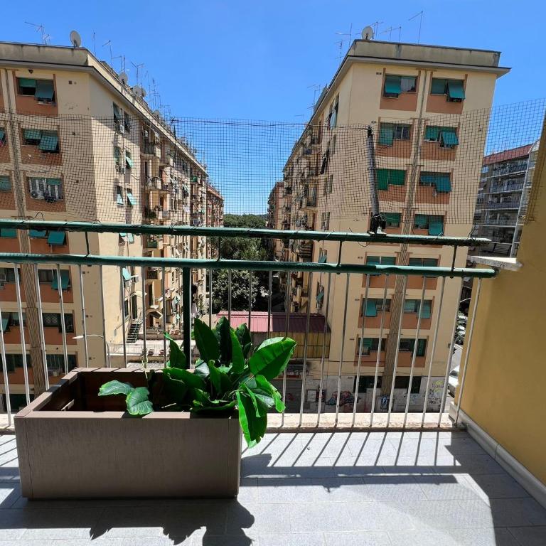 Luciano Queen's Guest House - Camera Matrimoniale con Balcone - 13