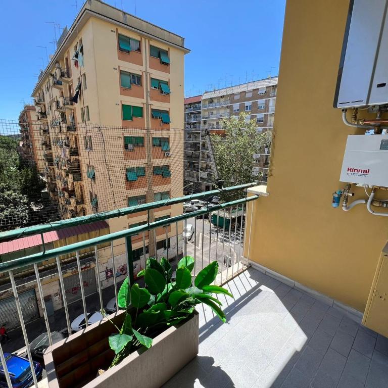 Luciano Queen's Guest House - Camera Matrimoniale con Balcone - 15