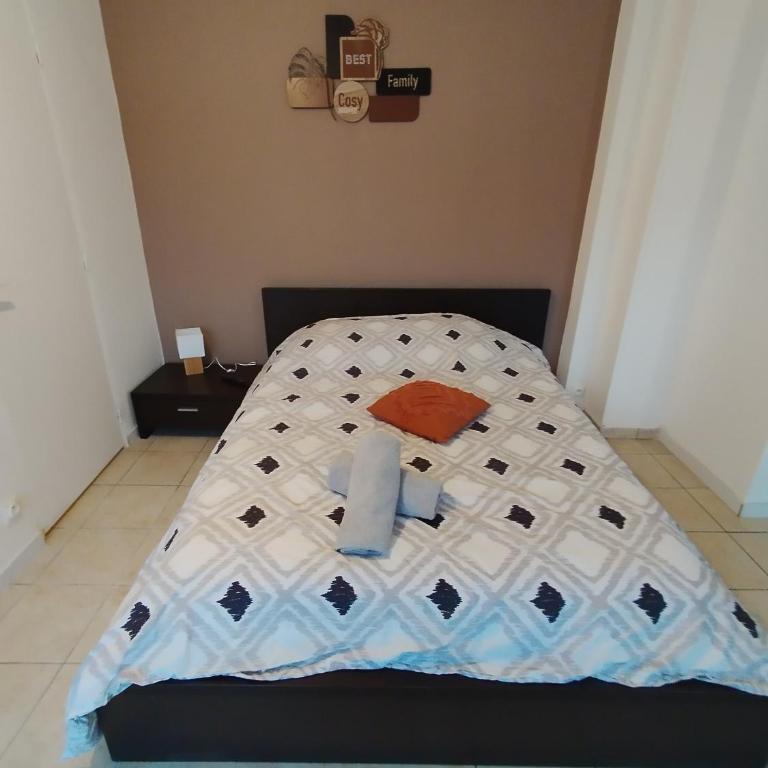 grand studio - Appartement 1 Chambre - 9