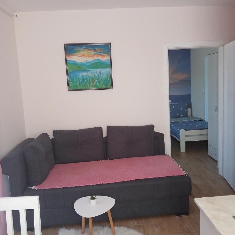 Apartmani Maxi-M Sokobanja - Apartman sa Pogledom na Planinu - 3