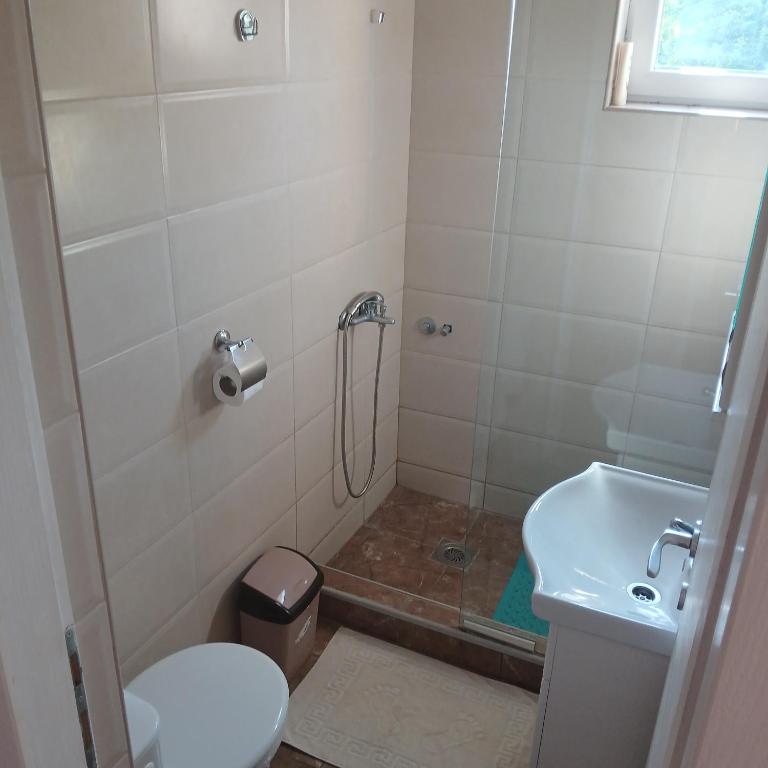 Apartmani Maxi-M Sokobanja - Apartman sa Pogledom na Planinu - 4