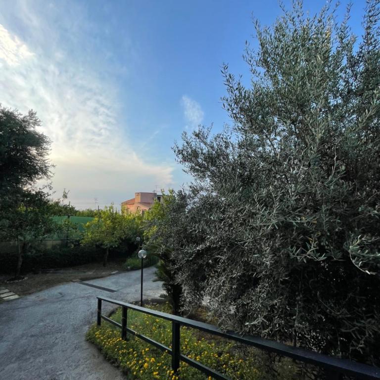 Villa Rosmary - One-Bedroom Apartment - 16