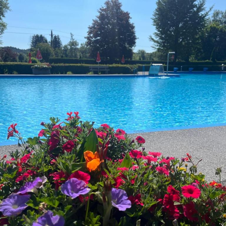 Ferienwohnung am Freibad - Appartamento - 15