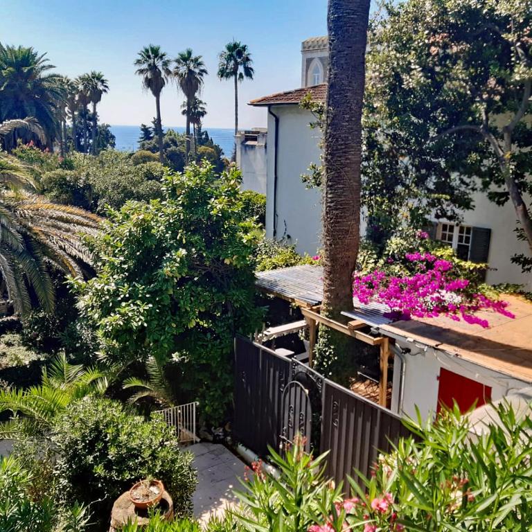 Romantic house Golfe Juan - Appartement 1 Chambre - 2