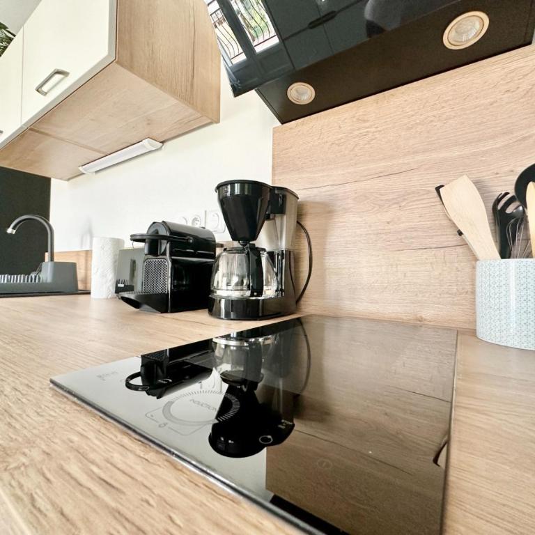 Le Lemovice, calme avec parking et balcon - Appartement 1 Chambre - 5