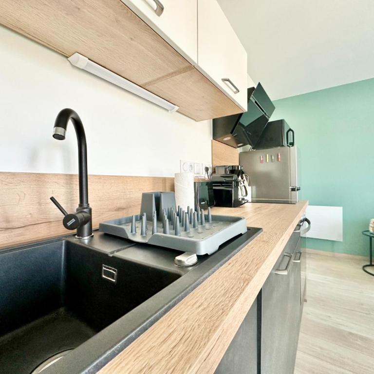 Le Lemovice, calme avec parking et balcon - Appartement 1 Chambre - 12