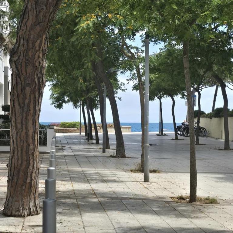 Apartamento Coquette a 50 metros de la playa - Apartamento - Planta baja - 24