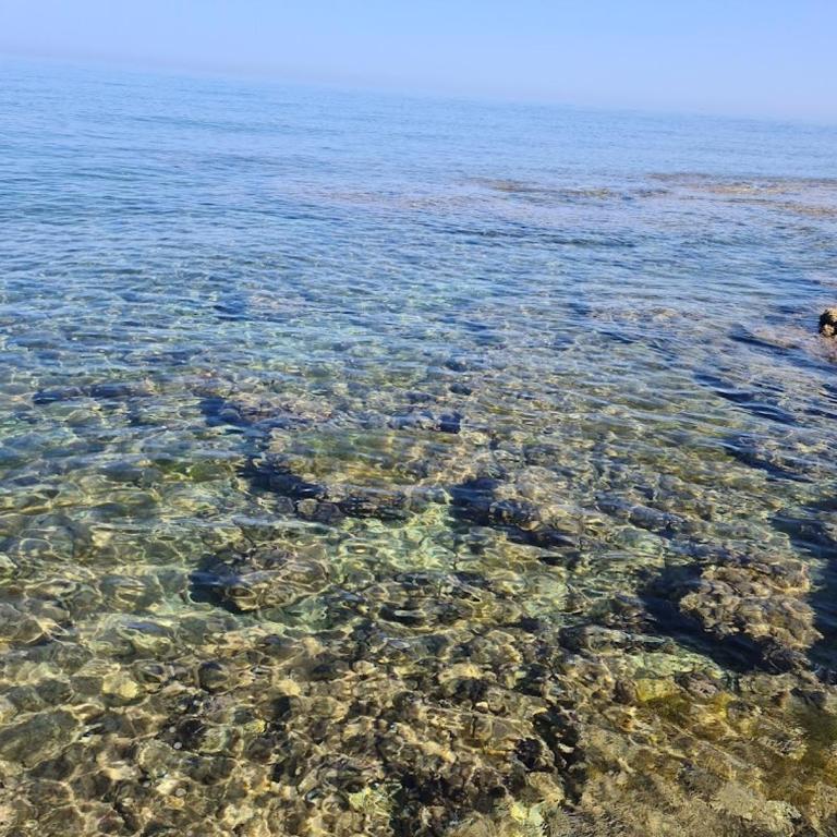 Villa Lilium - Villa Fronte Spiaggia - 37