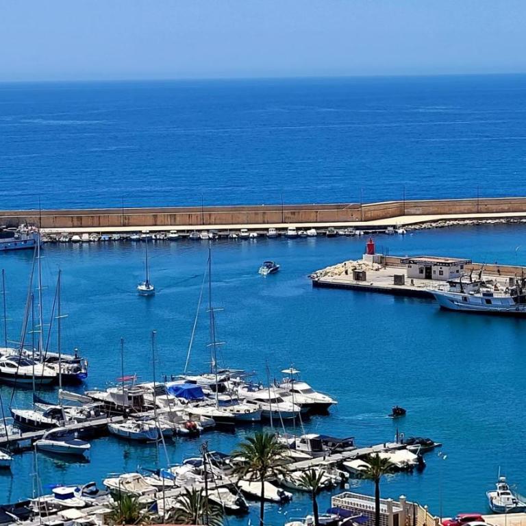 Sea View appartement Puerto - One-Bedroom Apartment - 35