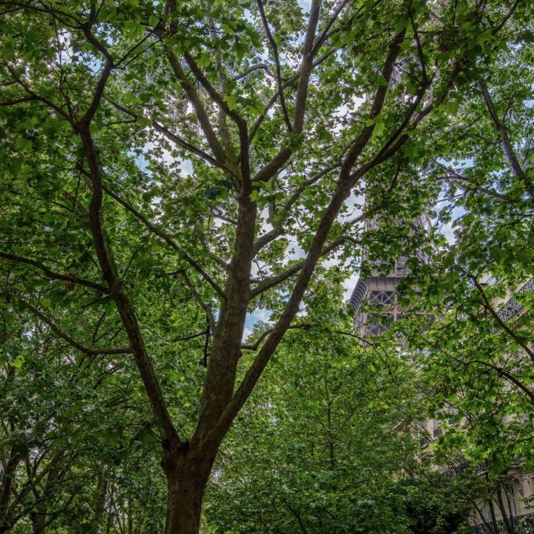 Charming French Style Apartment with Eiffel Tower View Prime Location Near Top Attractions - Appartement 2 Chambres avec Vue - 32
