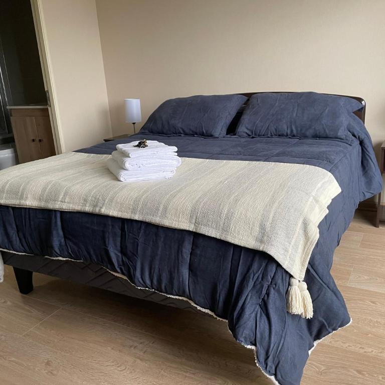 Departamento Nuevo Centro Osorno - Deluxe One-Bedroom Apartment with City View - 6