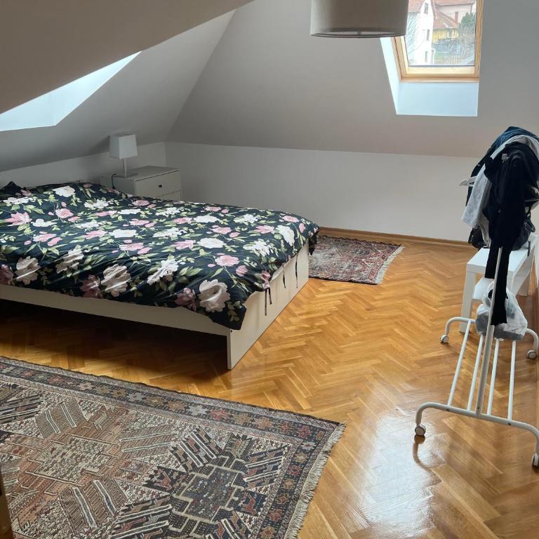Vrnjacka Hill - Apartman sa 3 Spavaće Sobe - 6