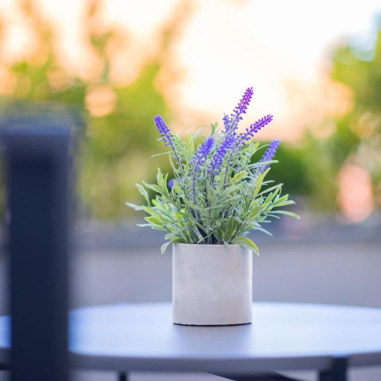 Happy House Old Town Luxury - Apartman sa 2 Spavaće Sobe i Terasom - 59