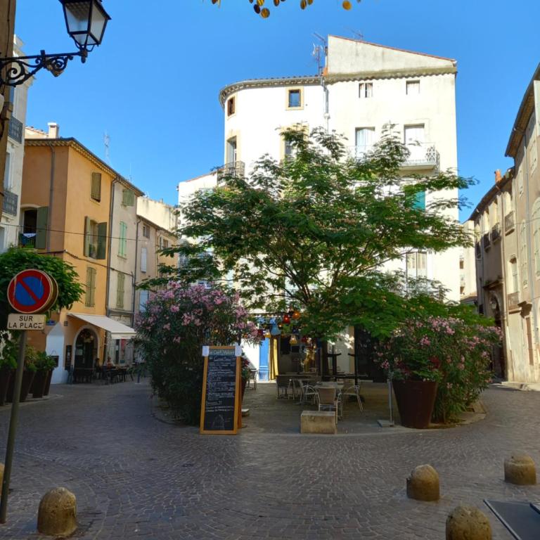 T3 Aqui es Besièrs - Centre-Historique - Cathédrale & Halles - Clim - Wifi - Free parking sur demande - Appartement 2 Chambres - 48