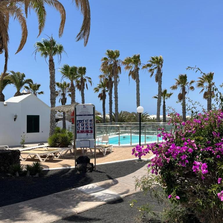 Bungalow Retama - Apartamento de 1 dormitorio - 2