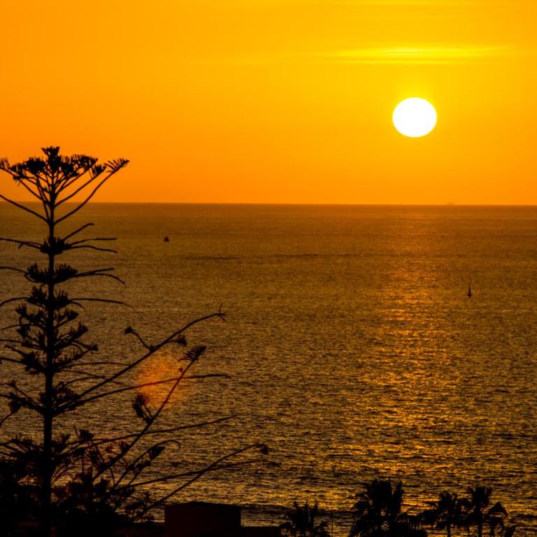 Ponderosa 619, Las Americas, 2 bedroom apartment with large terrace and ocean view, next to Siam Park - Apartamento de 2 dormitorios - 32