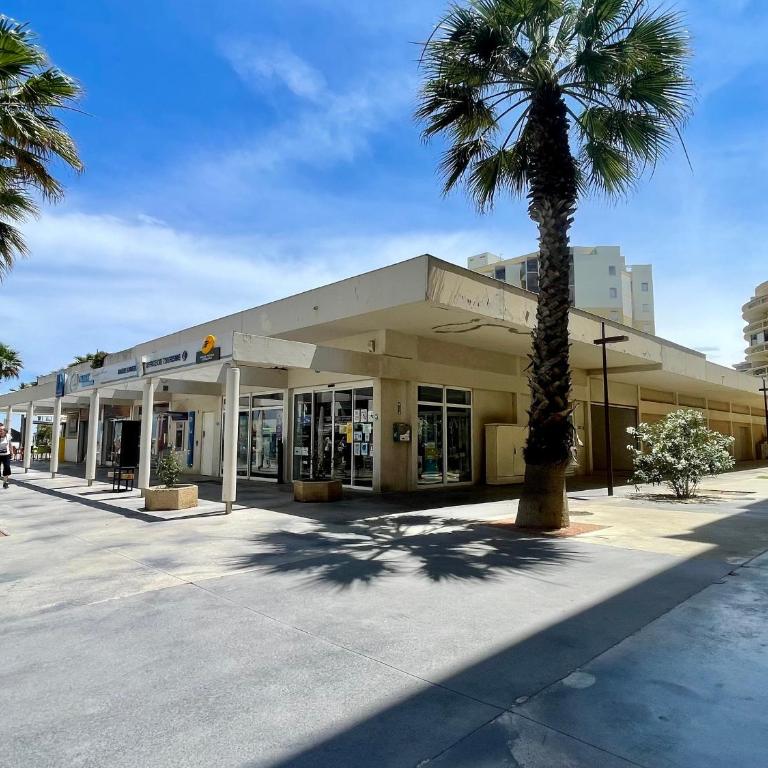 Appartement cosy 2 pièces avec WIFI, terrasse Ouest, 50m plage et commerces - Canet Sud - FR-1-748-21 - Appartement - 19