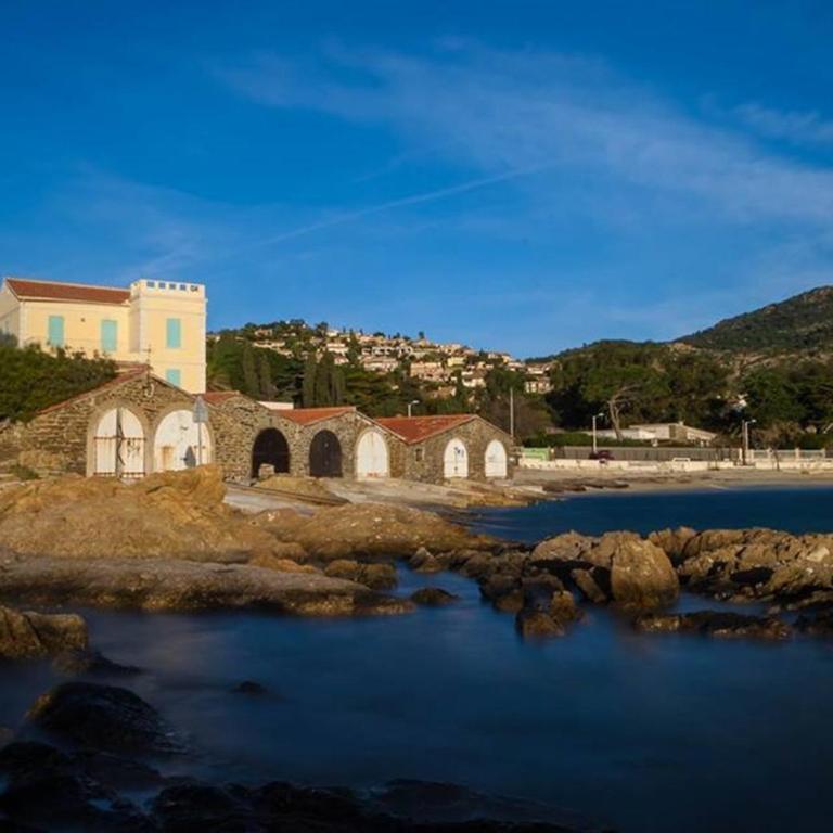 Le Lavandou : Agréable 2 pièces proche plage, terrasse, 4 personnes - FR-1-803-17 - Appartamento - 7