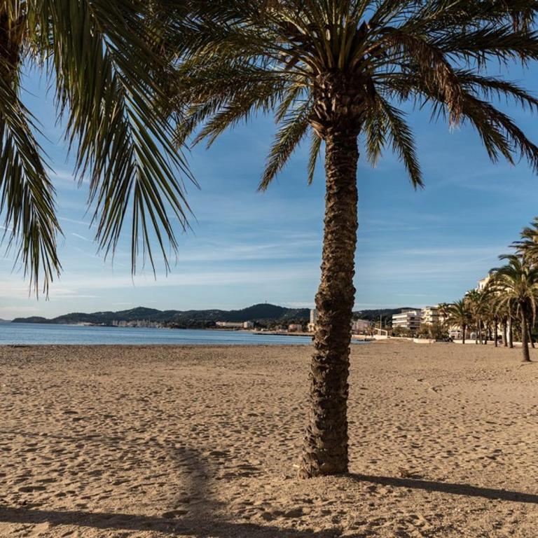 Beau T2 au Lavandou, vue mer, capacité 4, parking privé - FR-1-803-38 - Apartment - 7