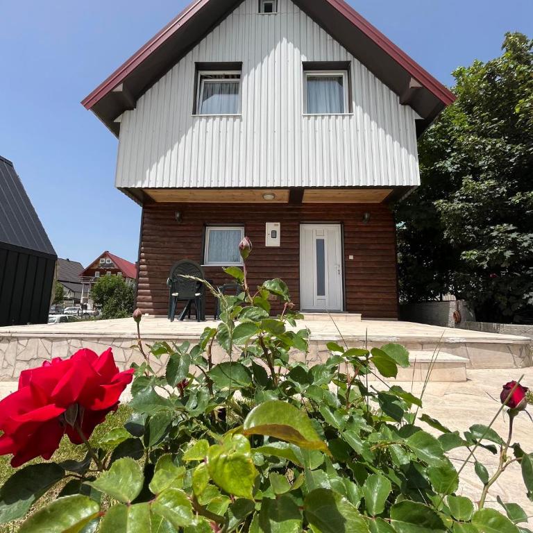 Kuća Čepić - Three-Bedroom House - 17