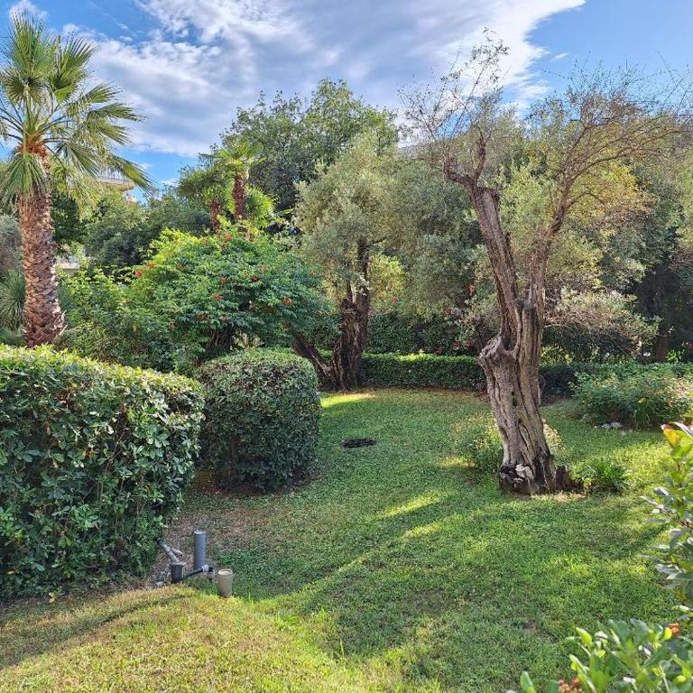 JUAN LES PINS Charming - One-Bedroom Apartment - 6