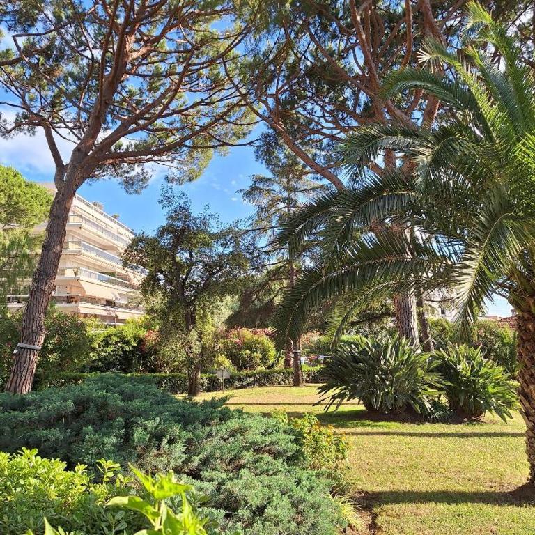 JUAN LES PINS Charming - One-Bedroom Apartment - 7