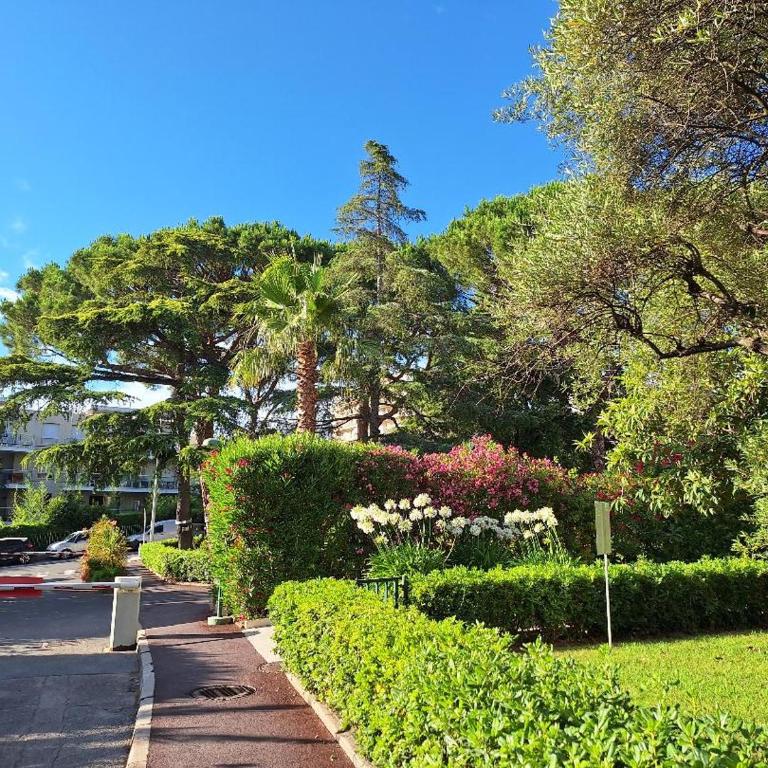 JUAN LES PINS Charming - One-Bedroom Apartment - 8