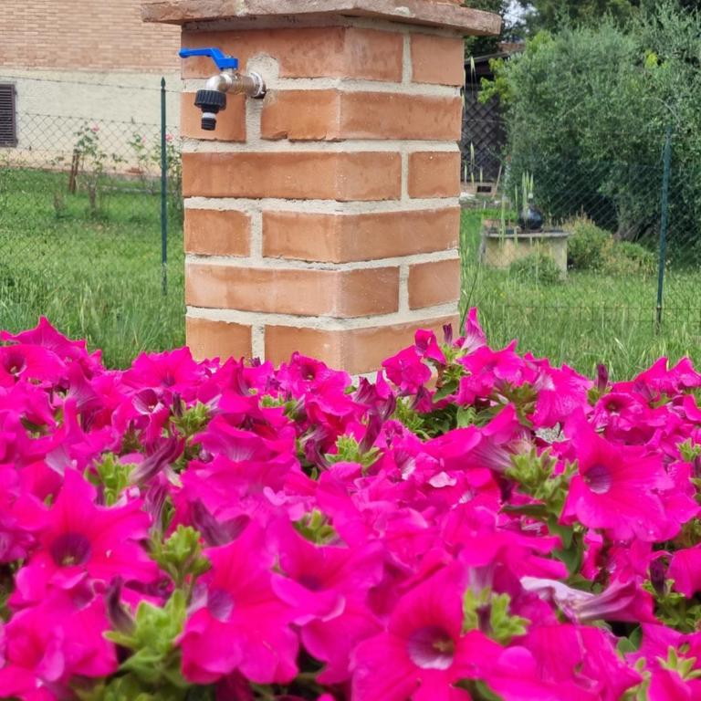 Il Sogno di Andrea - Villa con 2 Camere da Letto - 7