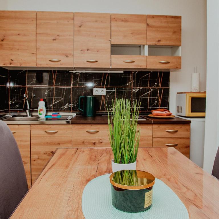 Kuća za odmor Vučjak - Two-Bedroom Villa - 18