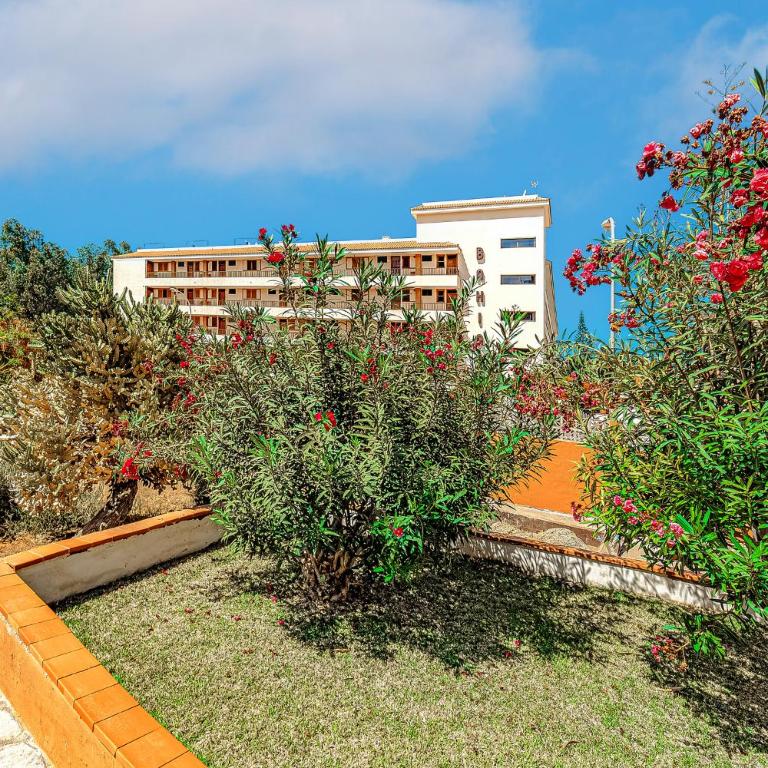 Tenerifeopenhome holiday apartment on the beach - Apartamento de 1 dormitorio - 49