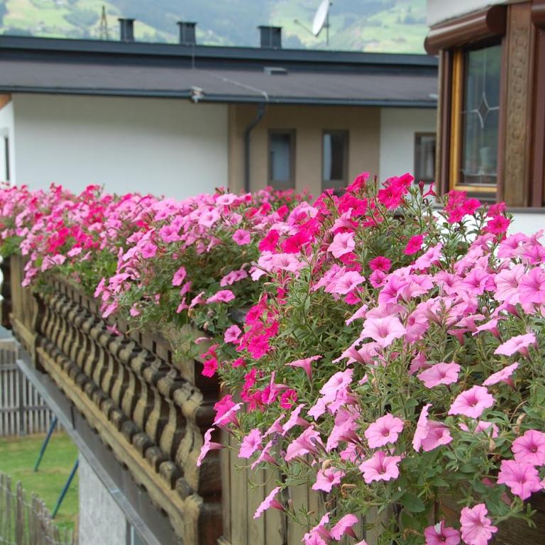 Haus hart im Zillertal 6 personen - Haus mit 2 Schlafzimmern - 59