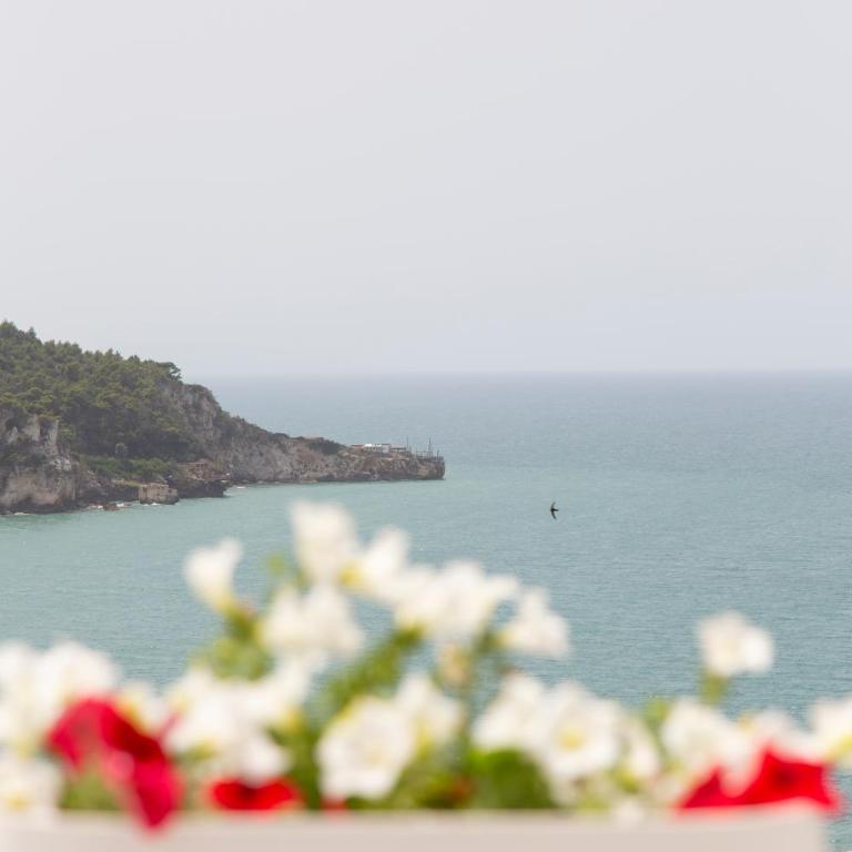 FICO D'INDIA - Camera Matrimoniale con Balcone e Vista Mare - 4