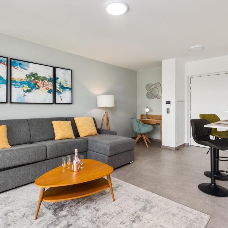 Luxueux appartement - Parking privé - Piscine - CC - Appartement 1 Chambre - 7