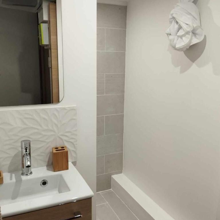 Nid Douillet en Plein Cœur de la Ville - Appartement 1 Chambre - 7