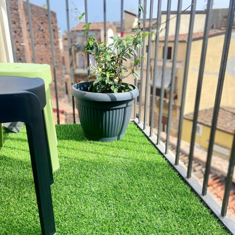 Raisi Suites & Apartment - One-Bedroom Deluxe Apartment - 18