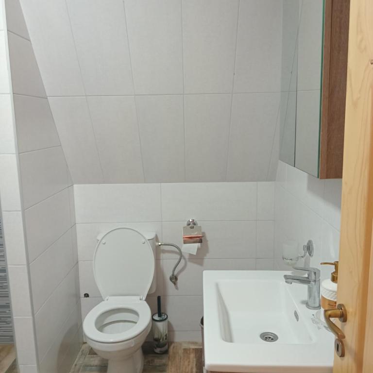 Apartmani Gocki Raj 2024 Vrnjačka Banja - Apartman sa 1 Spavaćom Sobom - 38