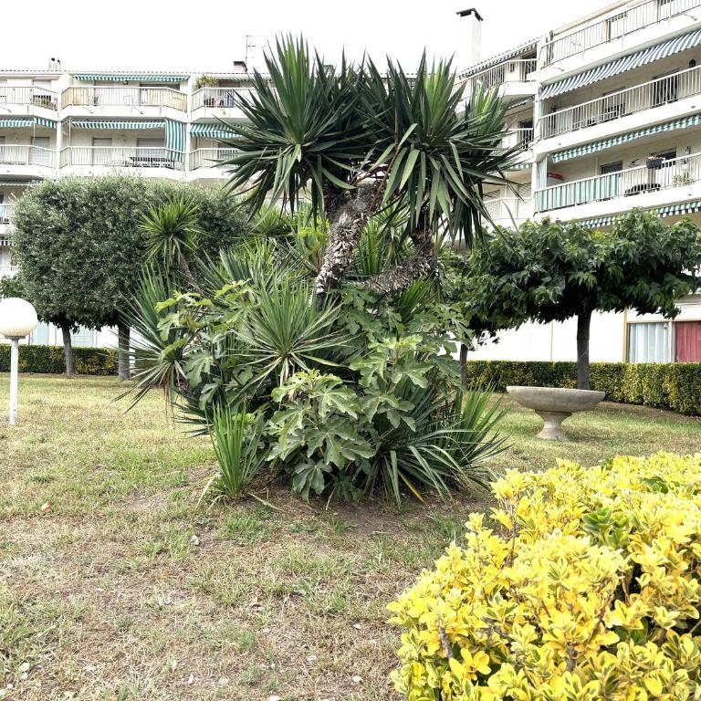 Studio bord de mer - Appartement 1 Chambre - 3
